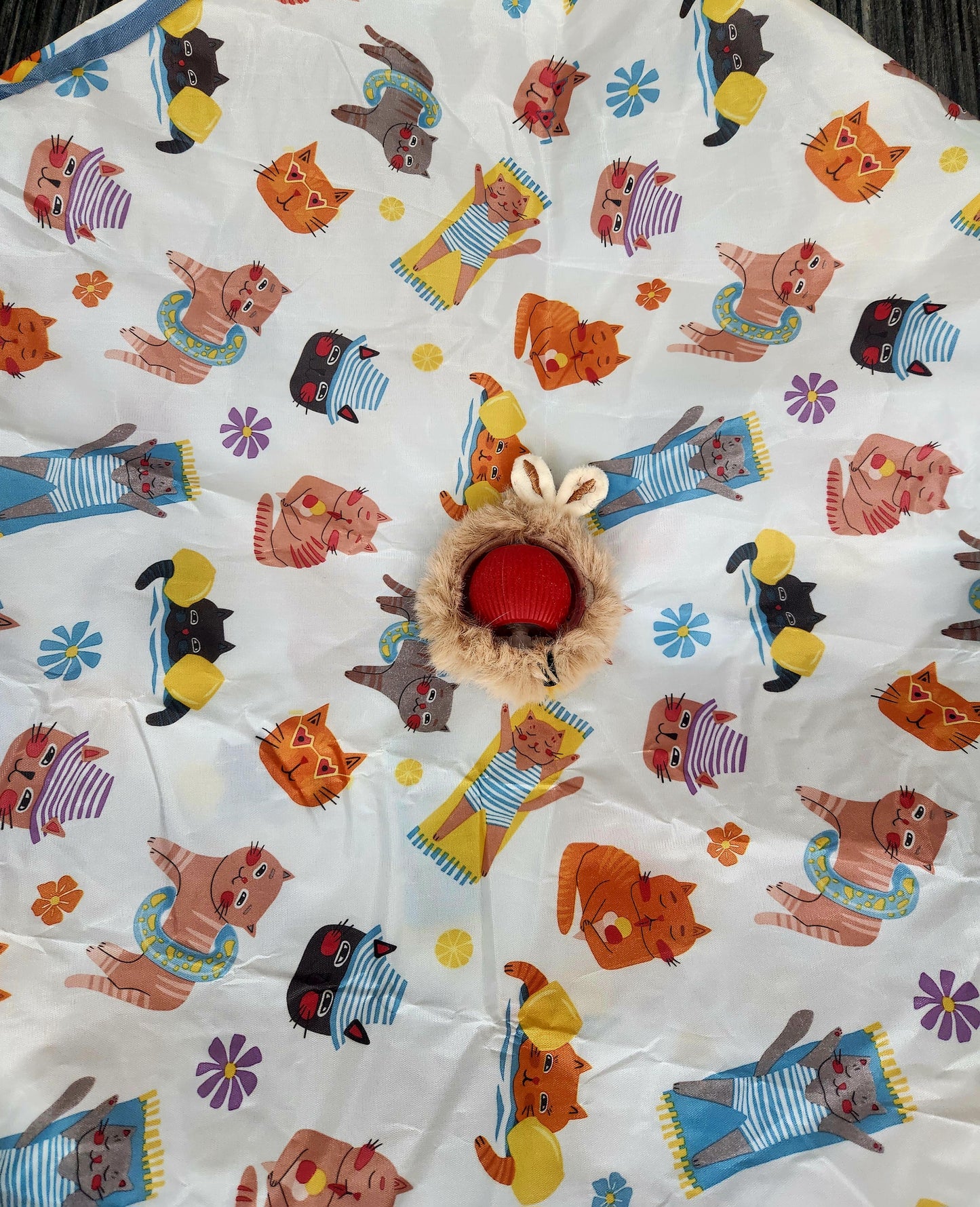 Catch the Mouse interaktivna igračka za mačke