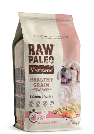 Raw Paleo Healthy Grain Losos Puppy, suha hrana za štence 2 kg