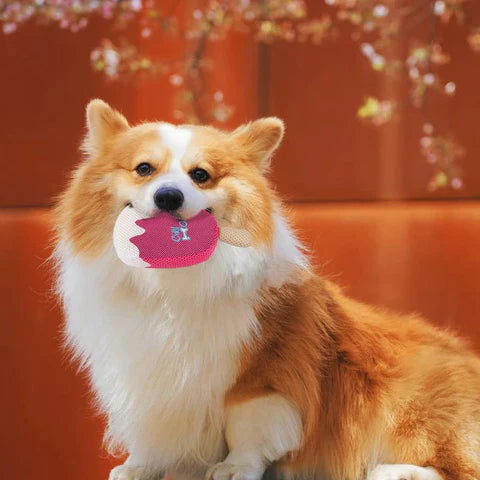 Chill Out Ice Cream igračka za pse za vodu i hlađenje