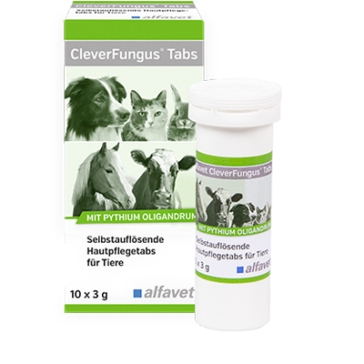 CleverFungus Tabs packaging for animals with a bottle and box on a white background