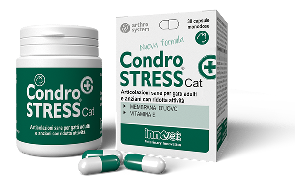 CondroStress + Cat, potpora za zglobove za mačke, 30 kom