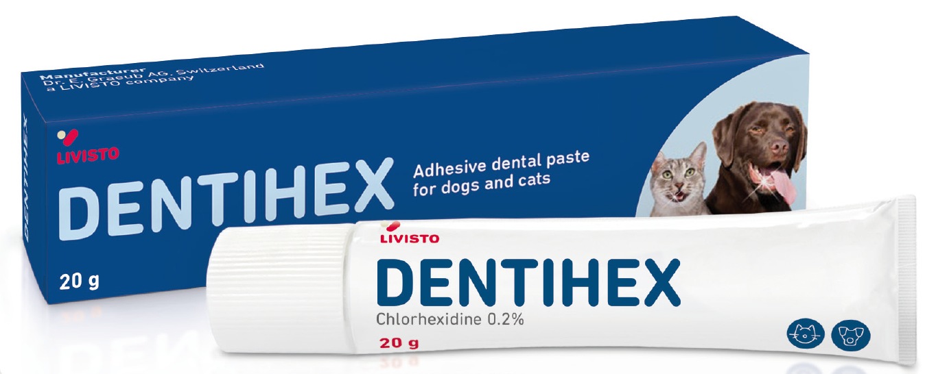 Dentihex pasta za zube za pse i mačke 20 g
