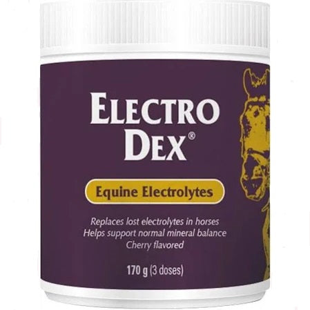 Jar of Electro Dex Equine Electrolytes on a white background