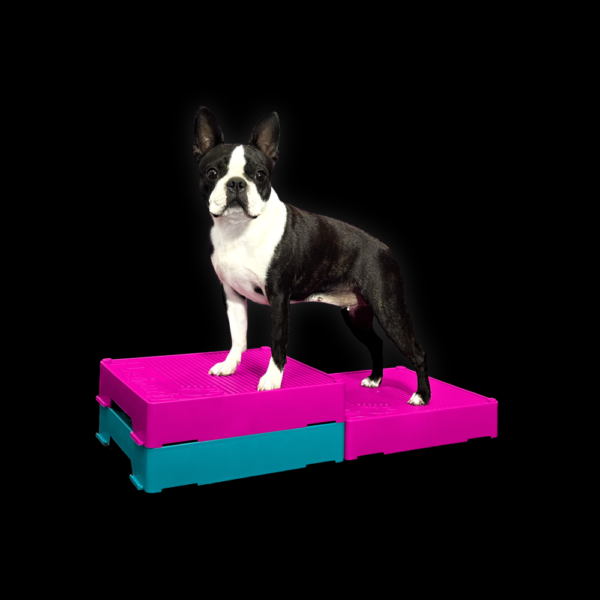 Flexiness FlexBlox platforma za trening pasa plava