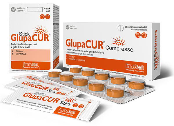 Glupacur protiv boli u zglobovima, pas, mačka 10 tbl