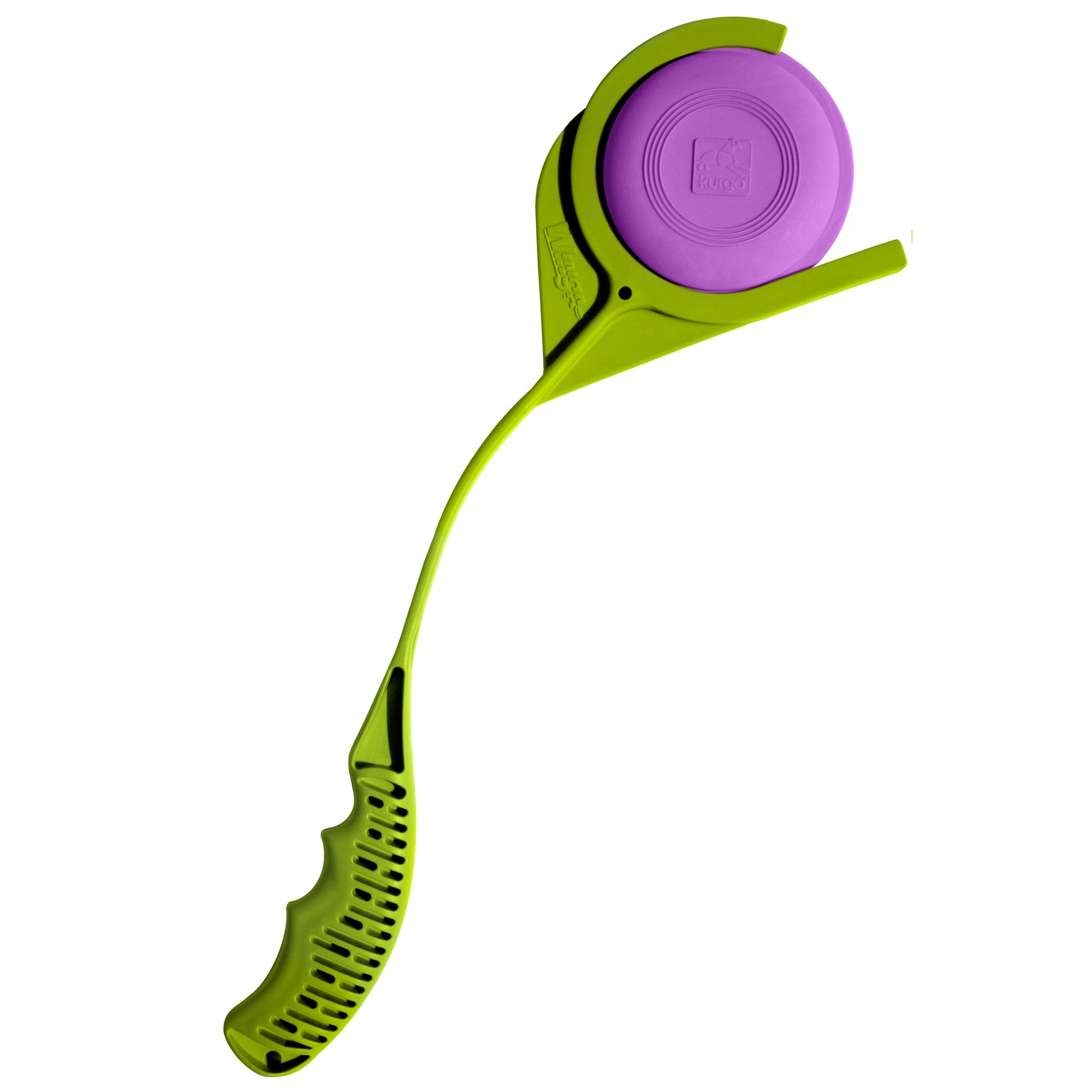 Green and purple kurgo winga disc