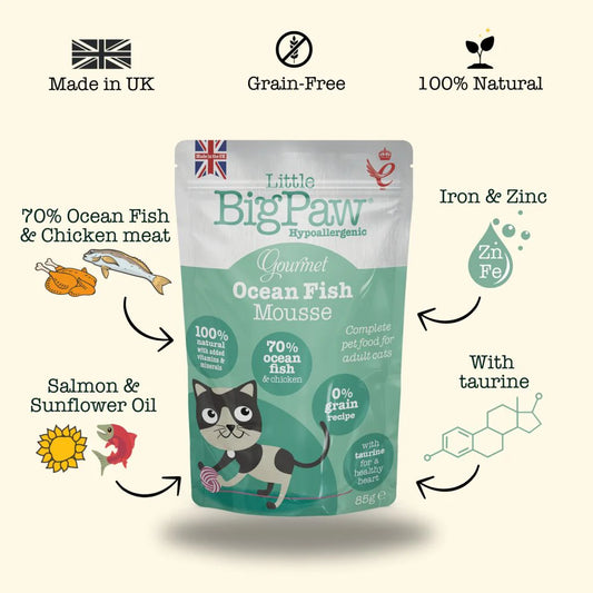 Little Big Paw Mousse od oceanske ribe za mačke, 85 g