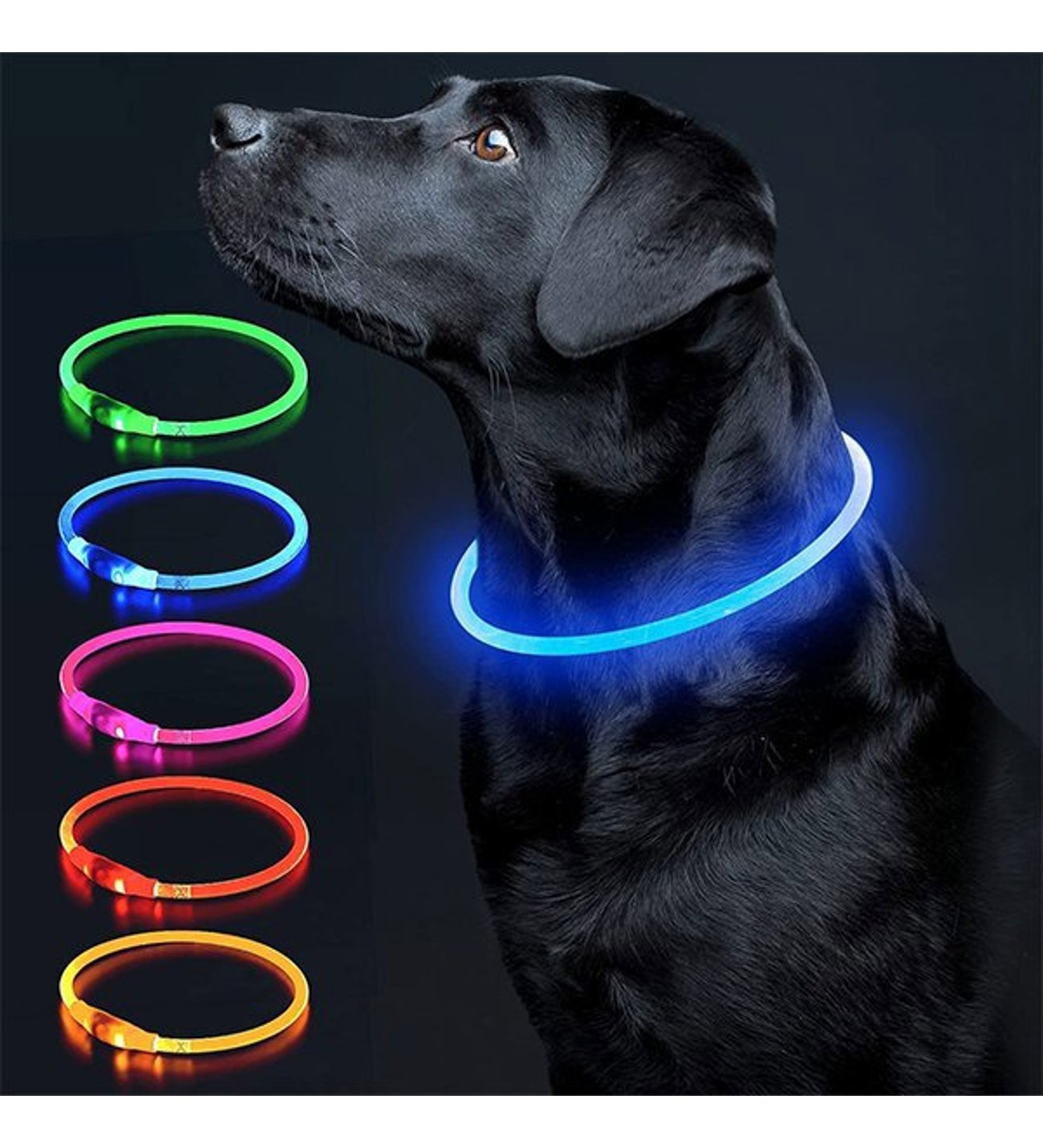 Red Dingo Lumitube Led ogrlica za pse koja svijetli u mraku