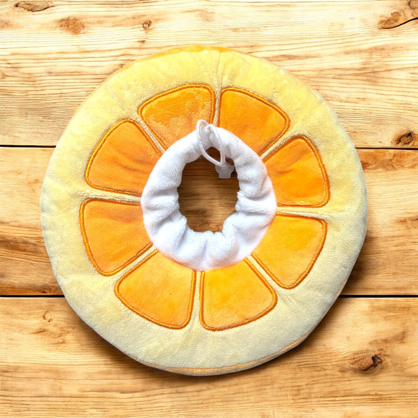 medical pet collar for after surgeery recovery on wooden surface