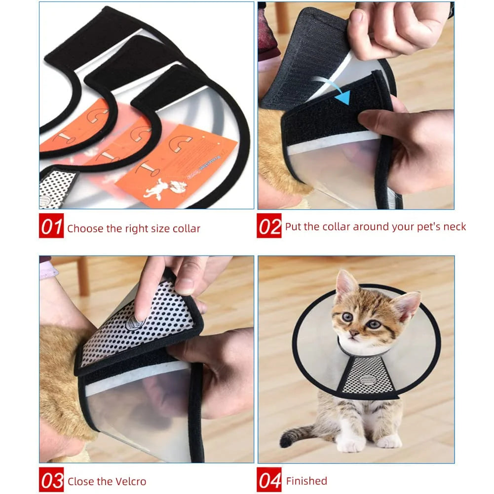 Step-by-step guide on how to use a pet recovery collar with images of hands adjusting the collar and a cat wearing it.