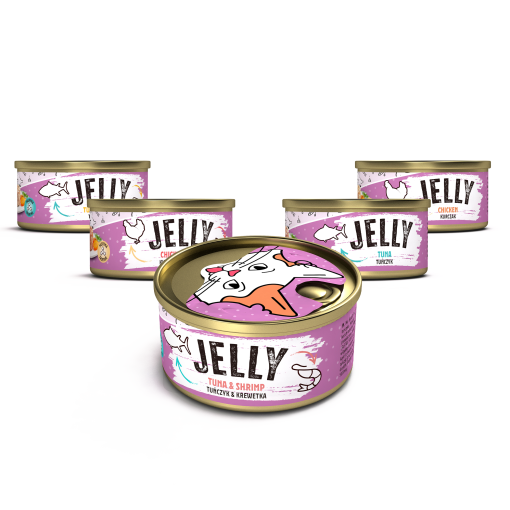 Mr. Bandit Cat jelly, dopunska mokra hrana za mačke u želeu, 80 g