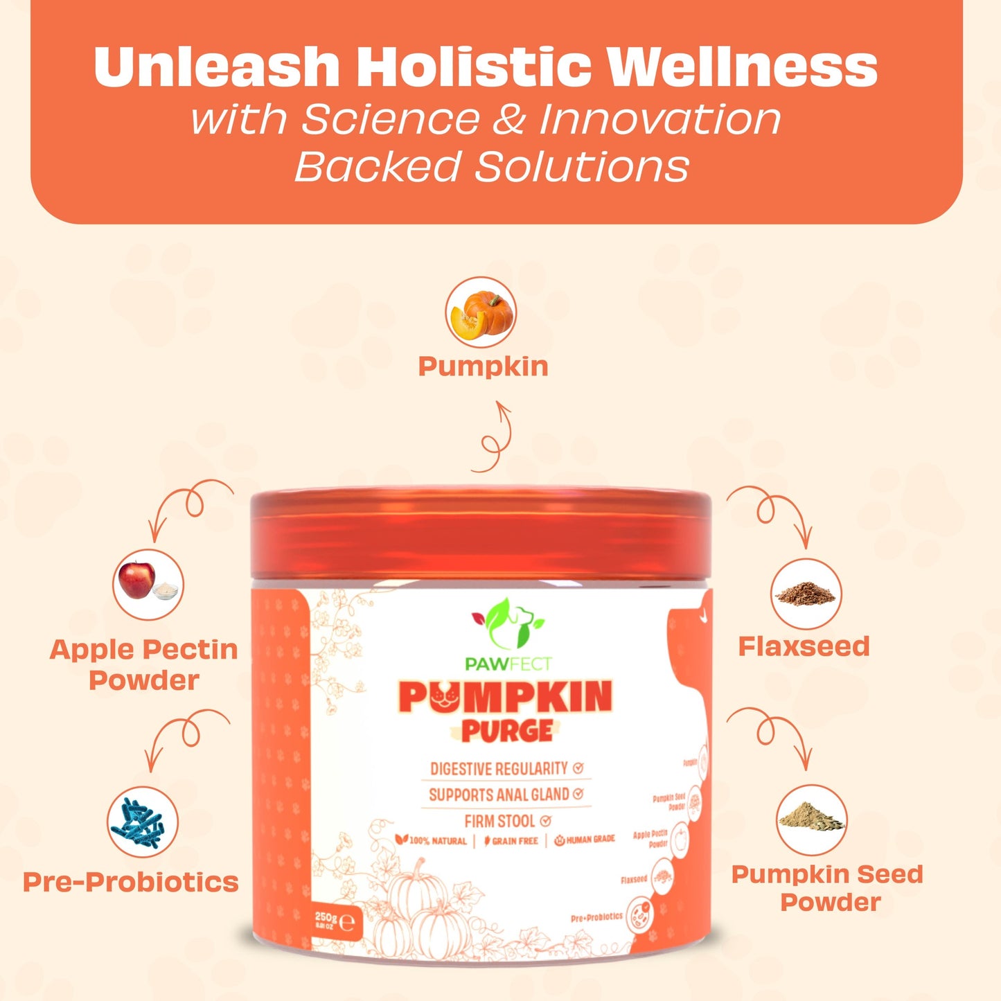 Pawfect Pumpkin Purge 250 g, topper za hranu za pse