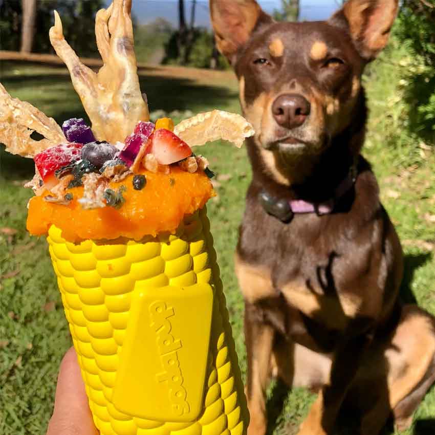 SodaPup Corn interkativna igračka za pse za sporo hranjenje