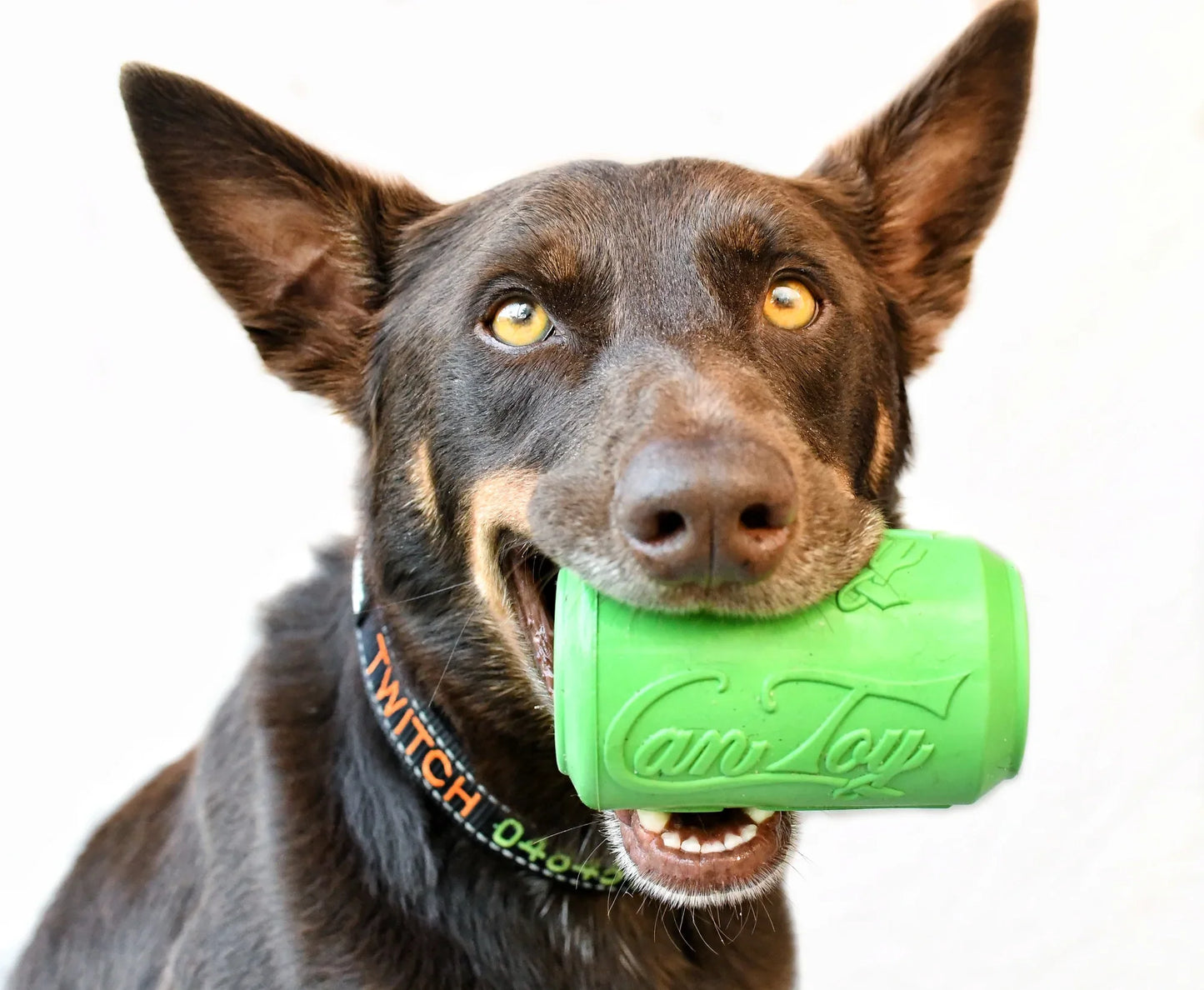 SodaPup Can interaktivna igračka za pse za sporo hranjenje