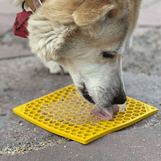 SodaPup Honeycomb lickimat za pse