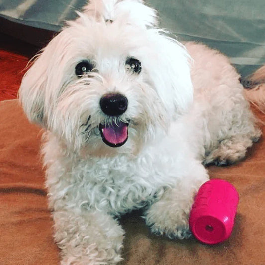 SodaPup Puppy Can interaktivna igračka za štence