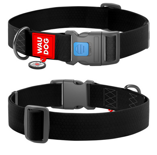 Black dog collar with a red and blue tag on a white background