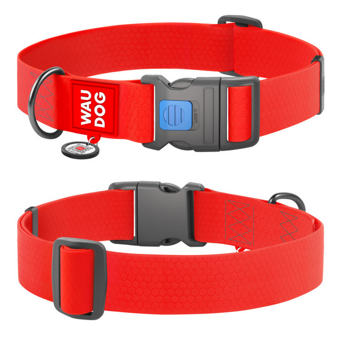 Red dog collar with black buckle on a white background