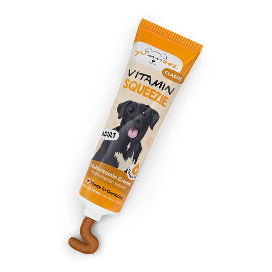 Yummeezz vitaminska pasta za odrasle pse 100g