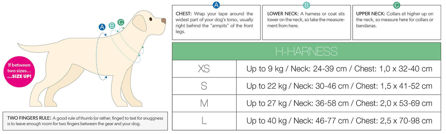 Max and Molly Popcorn oprsnica za pse S