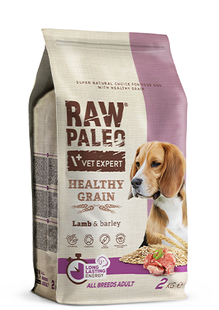 Bag of Raw Paleo Vet Expert dog food with a beagle on the packaging.