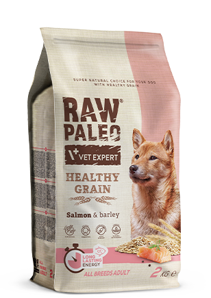 Raw Paleo Healthy Grain Losos, suha hrana za odrasle pse