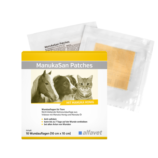 Manuka med dermalni flasteri za rane i alerije 10x10 cm