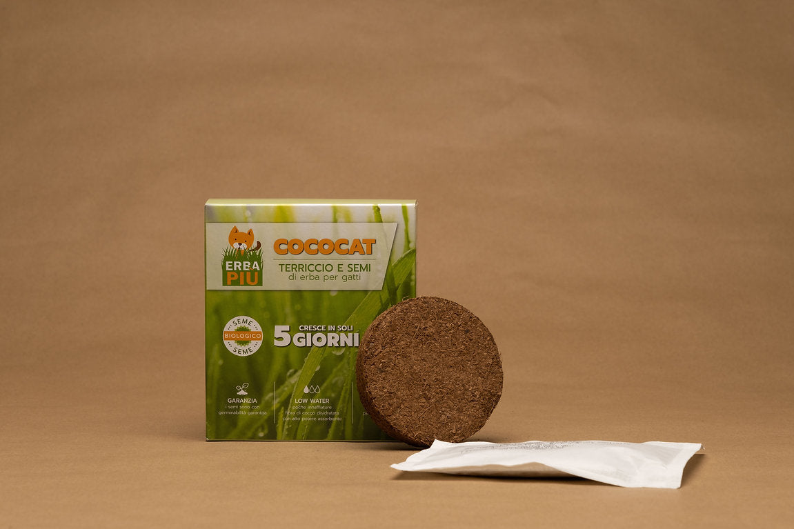 BIO Trava za mačke sjemenke+zemlja