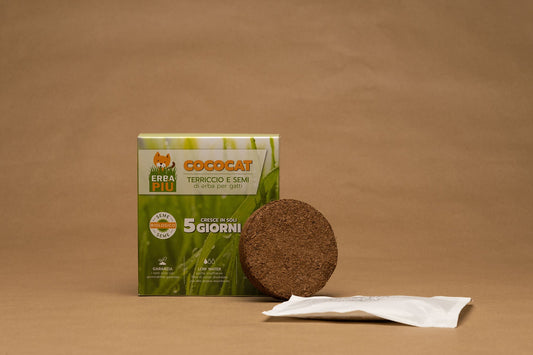 BIO Trava za mačke sjemenke+zemlja