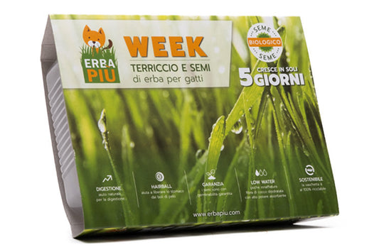 BIO Trava za mačke sjemenke+zemlja+posuda