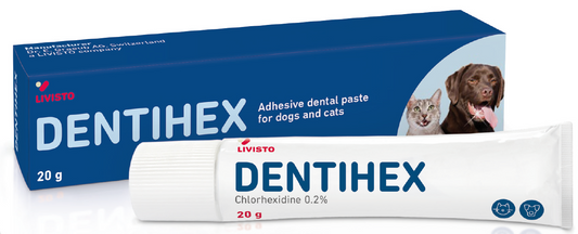 Dentihex pasta za zube za pse i mačke 20 g
