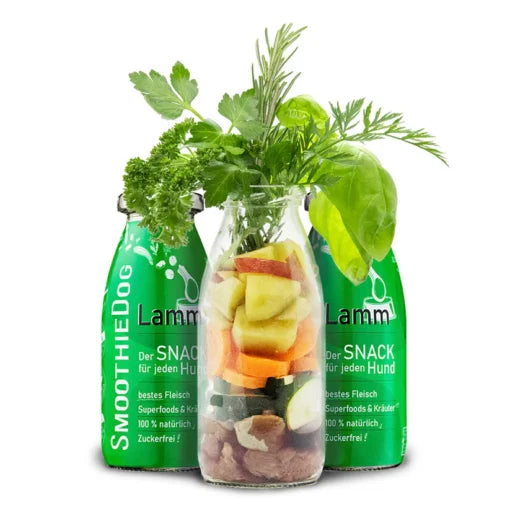 Dog Smoothie janjetina tekuća poslastica za pse, 250 ml