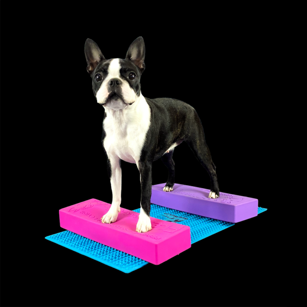 Flexiness Stacking bar ljubičasta