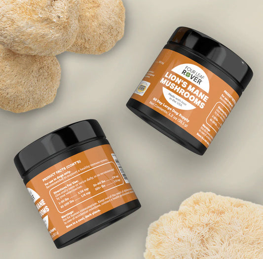 Two containers of Lion's Mane Mushrooms with lion's mane mushrooms on a neutral background