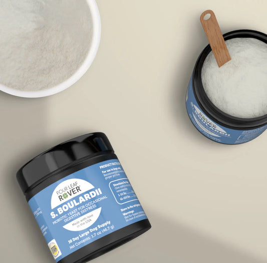 Two containers of S. Boulardii on a beige surface with a wooden scoop.