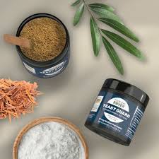 Four Leaf Rover Yeast Guard za pse protiv gljivica, 39,3 g