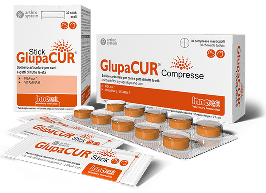 Glupacur protiv boli u zglobovima, pas, mačka 10 tbl