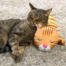 Cat playing with a plush toy on a concrete surface