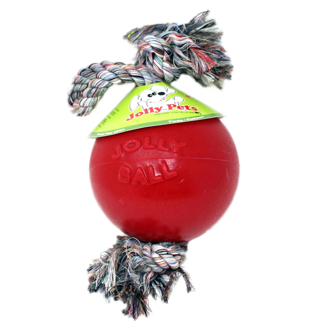 Jolly Pets Romp n Roll izdržljiva lopta za pse