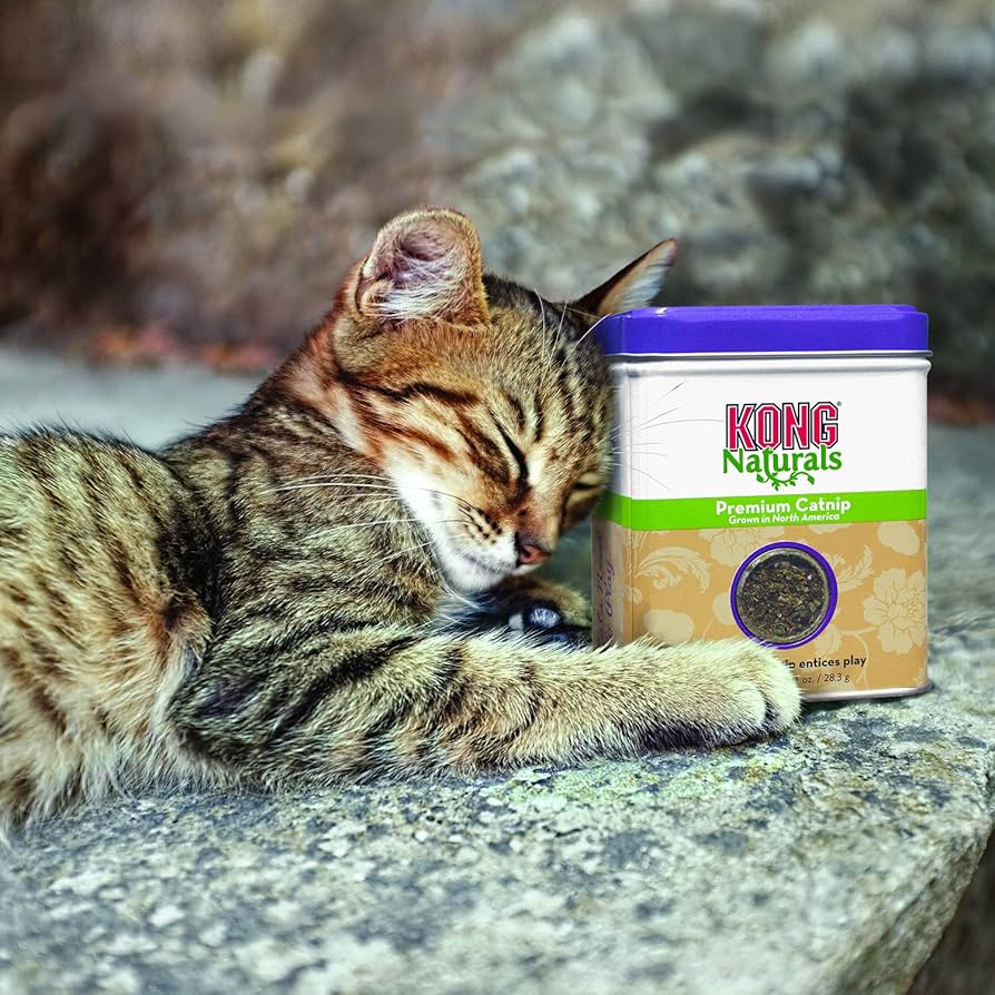 Kong Premium Catnip mačja metvica za smirivanje mačaka