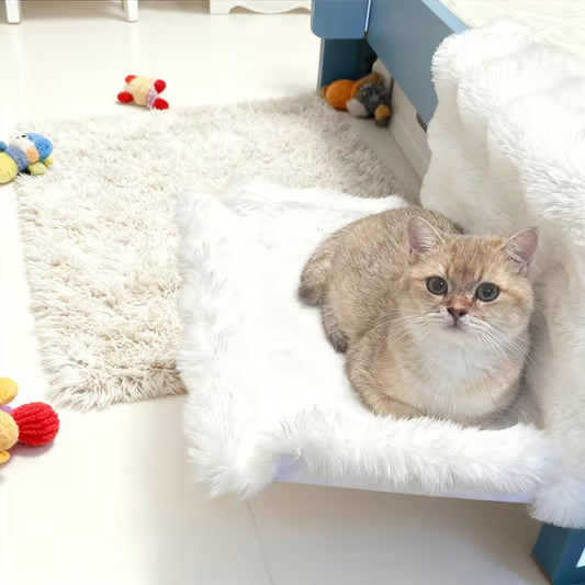 Cat sitting on a fluffy white cushion with toys scattered around