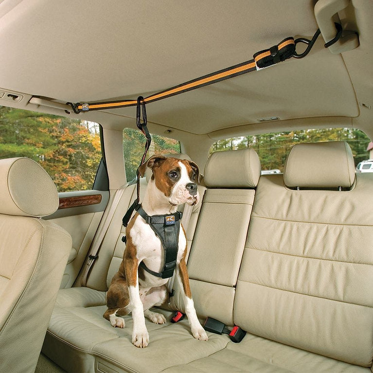Kurgo Auto Zip sigurnosni pojas za pse u vožnji
