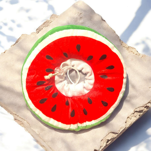 Pet medical collar  shaped like a watermelon slice on a textured surface