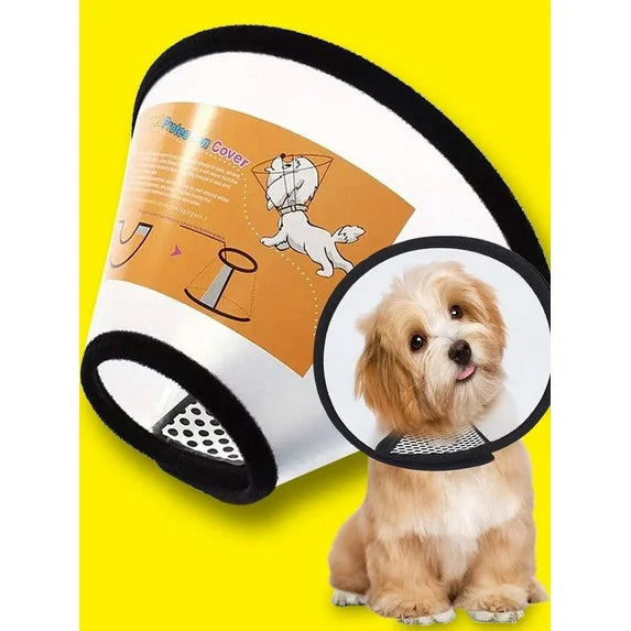 Dog cone collar with a small dog sitting inside on a yellow background