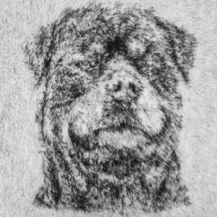 UK VET BED pasmine, non slip ležaj za pse