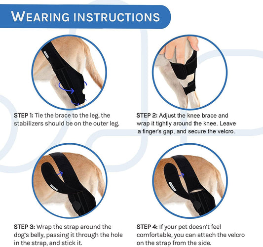 Ortoza za koljeno za velike pasmine pasa