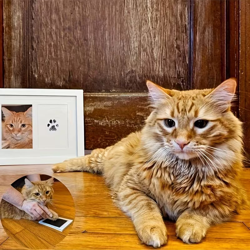 Orange tabby cat lying on a wooden floor with a framed photo of itself in the background.