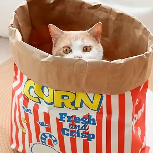 Popcorn kartonska kutija za mačke za igru