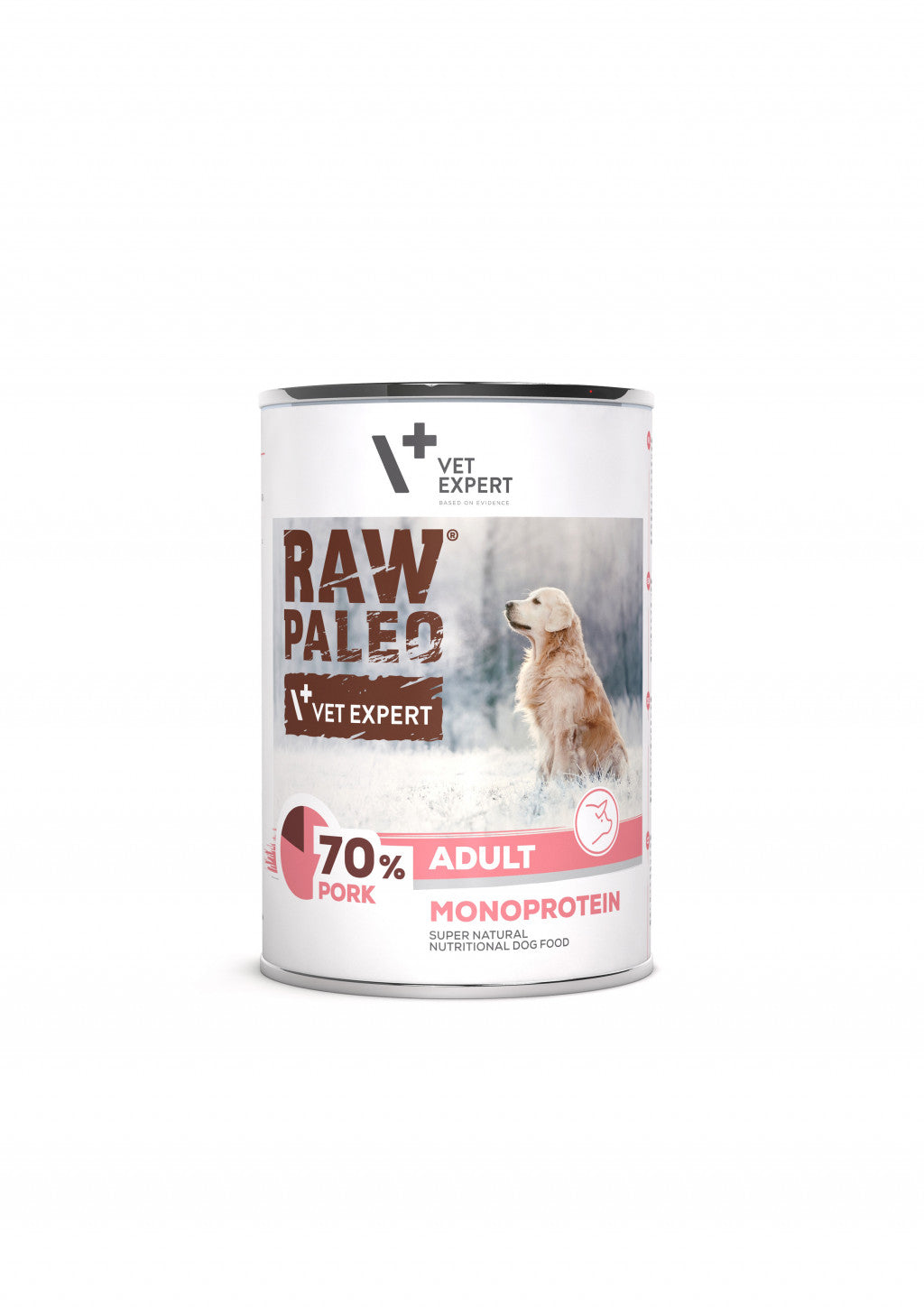 Vet Expert Raw Paleo dog food can on a white background