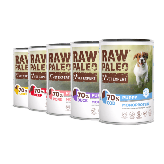 Multiple cans of Raw Paleo Vet Expert dog food on a white background